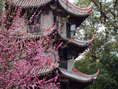 -成都杜甫草堂博物馆
