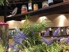 -百特喜·意大利餐厅(八佰伴镇江店)