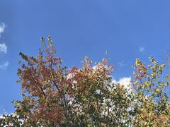 -五台山风景区