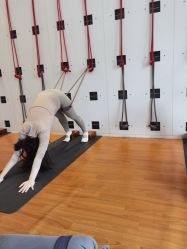 -成都阿难陀艾扬格瑜伽中心