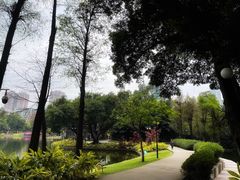 -晓港公园