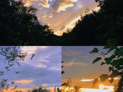 -北京西山国家森林公园