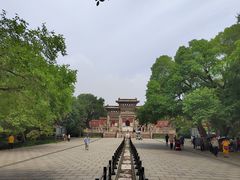 -北陵公园