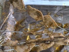 -酒宝荡烧烤(长航局江大路住宅小区店)