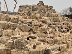 -太原动物园