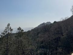 -阳台山自然风景区