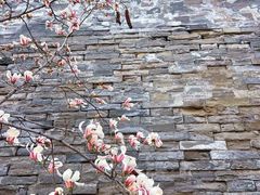 -东华门大街小区