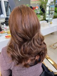 -GANO HAIR 