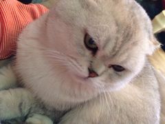 -MIKAKU(万达广场上海宝山店)