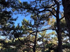 -北京西山国家森林公园