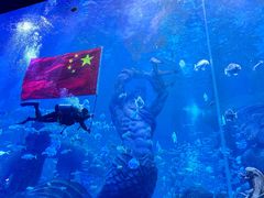 -哈尔滨波塞冬海底世界