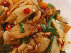 笋尖回锅肉-竹野·上|老字号全竹宴