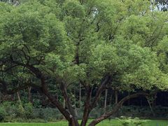 -云溪植物园