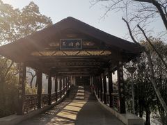 -长广溪湿地公园