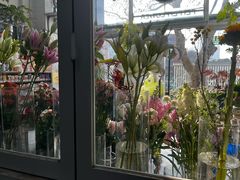 -FEI FEI FLOWER鲜花店·气球派对·宝宝宴布置(虹口德必运动Loft店)