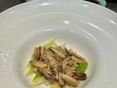 -新光酒家·河豚·海鲜·蟹料理(浦东店)