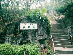 -深圳仙湖植物园