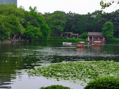 -荔湾湖公园