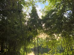 -烟水渔庄餐厅(西溪湿地店)