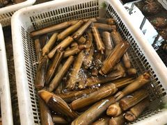 -莆鑫海鲜城(浏河店)