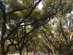 -浙江大学(玉泉校区)