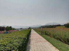 -君乐宝优致牧场