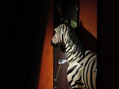 -西安电影制片厂