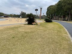 -上海月湖雕塑公园