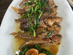 -八仔大富楼·河鲜(西江店)