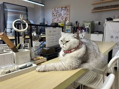 -Oasis绿洲银饰珍珠手作diy(壹方城店)