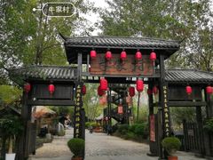 -合肥滨湖国家森林公园