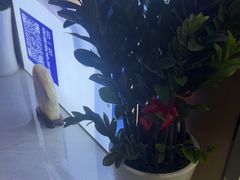 -脊地脊柱·运动康复·体态(汇海店)