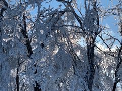 -中旅松花湖滑雪场