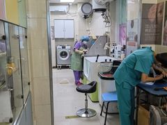-北京观赏动物医院·24小时大型综合·猫专科·异宠专科