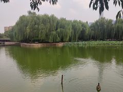 -团结湖公园