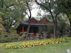 -北京动物园-畅观楼