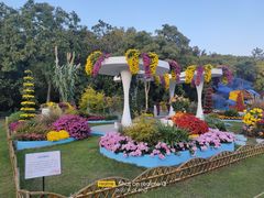 -上海共青森林公园