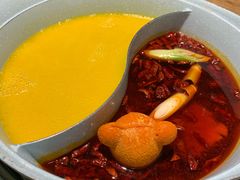 -青瓷火锅料理(西单大悦城店)