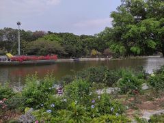 -东莞植物园