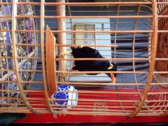 阅微庄四合院酒店-北京阅微庄四合院文化特色酒店
