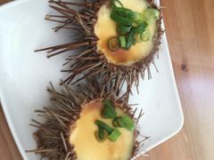 -海胆小馆(东北水饺·春柳店)