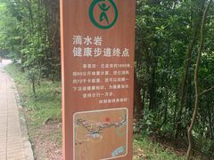 -滴水岩森林公园