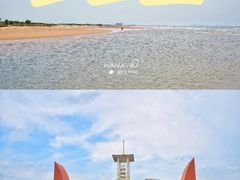 -日照海滨国家森林公园