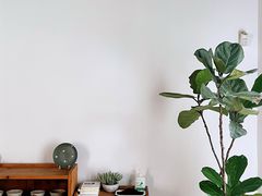 大堂-春风十里咖啡馆
