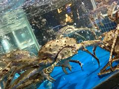 -徐记海鲜(大明宫|北二环店)