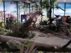 -湖南省地质博物馆