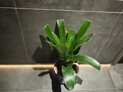 -天禧影院式足道·SPA(梅林店)