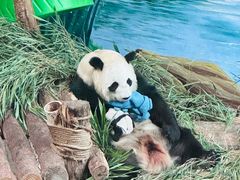 -青藏高原野生动物园