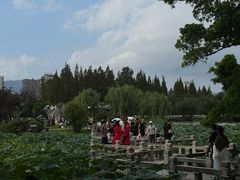 -江心屿景区
