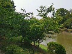 -上海海湾国家森林公园